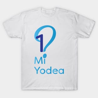 Echad Mi Yodea - Funny Passover Seder Tshirt design T-Shirt